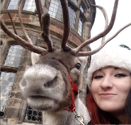 Reindeer hire for school visits