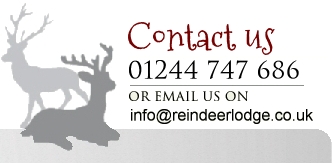 Book Reindeer Hire - 01244 747 686