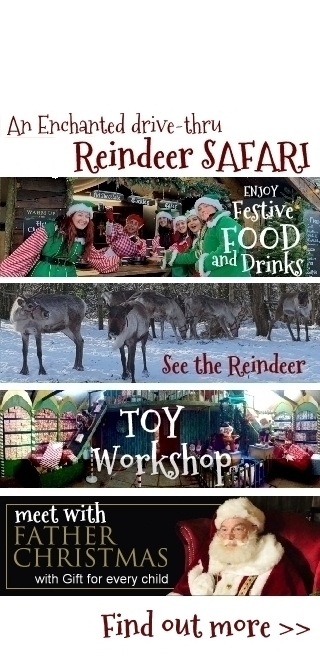 Enchanted Reindeer Safari at the Reindeer Lodge