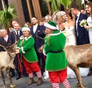 Reindeer hire for wedding in Cheshire, Manchester and Liverpool